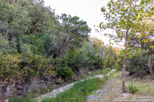 Image 25 of 50 For 2844 Bear Springs