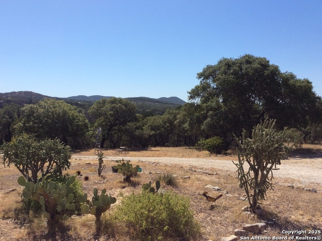 Image 45 of 50 For 2844 Bear Springs