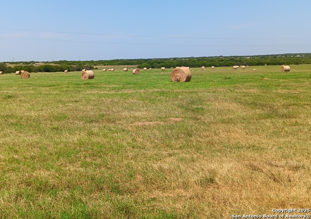 Details for 1061 County Road 156, Kenedy, TX 78119