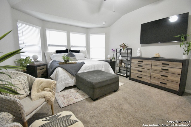 Listing photo id 14 for 12112 Icon Ridge