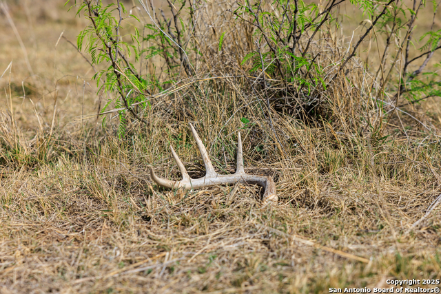 Image 11 of 53 For 4632 Onion Creek Road