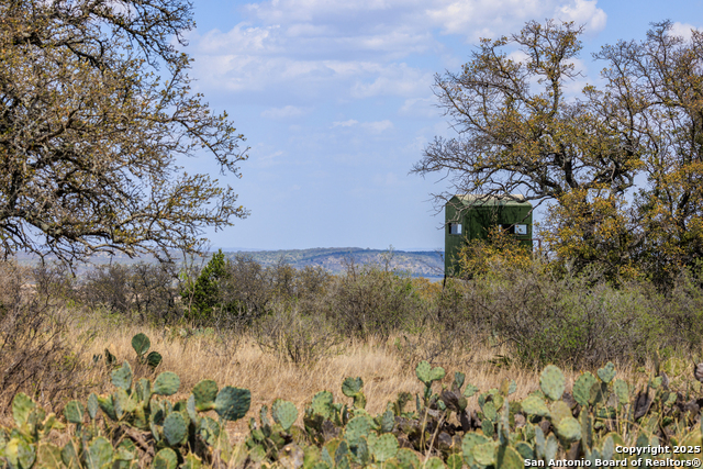 Image 14 of 53 For 4632 Onion Creek Road