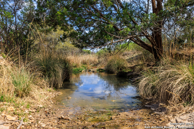 Image 17 of 53 For 4632 Onion Creek Road