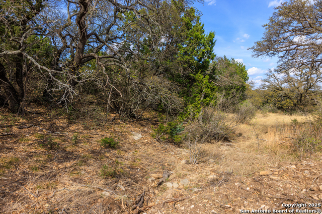 Image 3 of 53 For 4632 Onion Creek Road