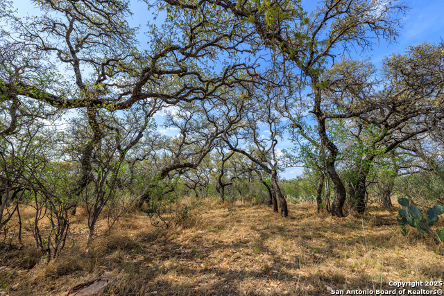 Image 32 of 53 For 4632 Onion Creek Road