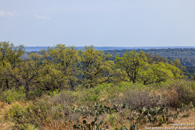 Image 4 of 53 For 4632 Onion Creek Road