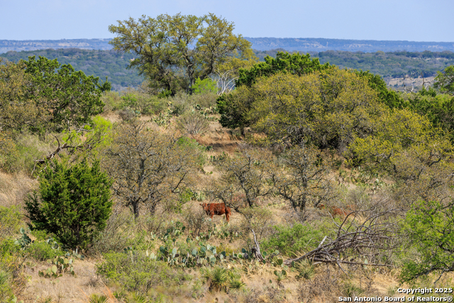 Image 41 of 53 For 4632 Onion Creek Road