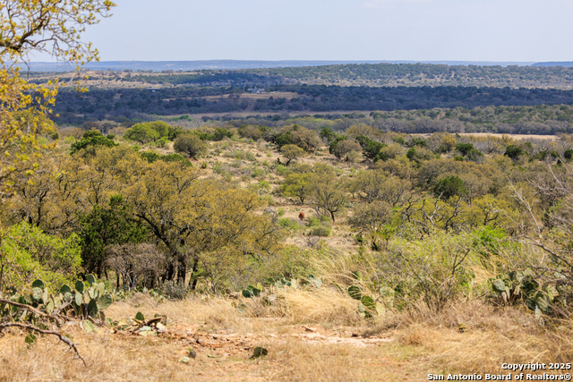 Image 42 of 53 For 4632 Onion Creek Road