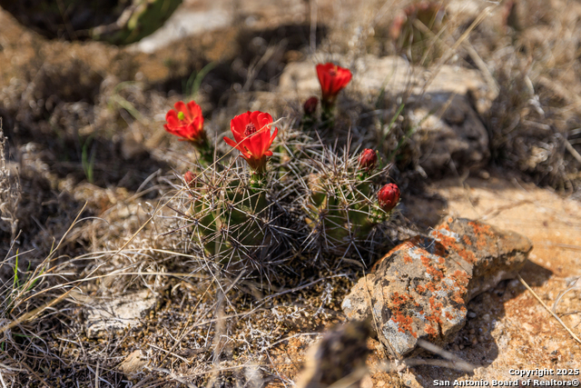 Image 43 of 53 For 4632 Onion Creek Road