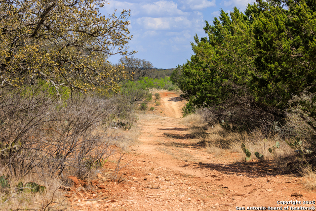 Image 49 of 53 For 4632 Onion Creek Road