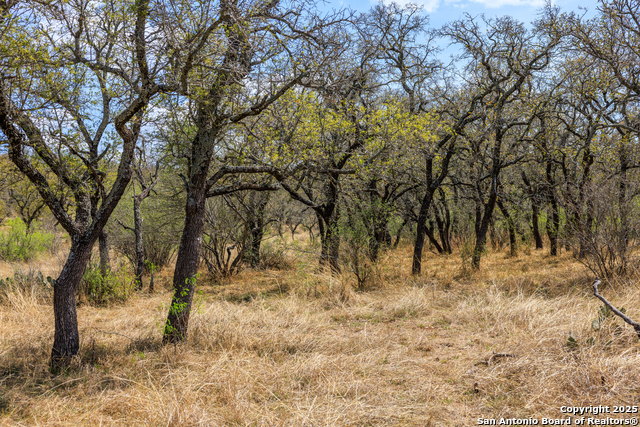 Image 9 of 53 For 4632 Onion Creek Road