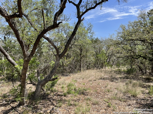 Listing photo id 4 for 1191 Cr 241