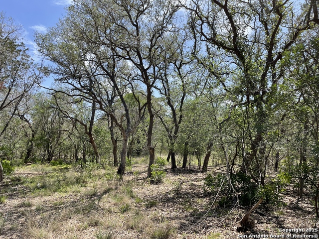 Listing photo id 5 for 1191 Cr 241