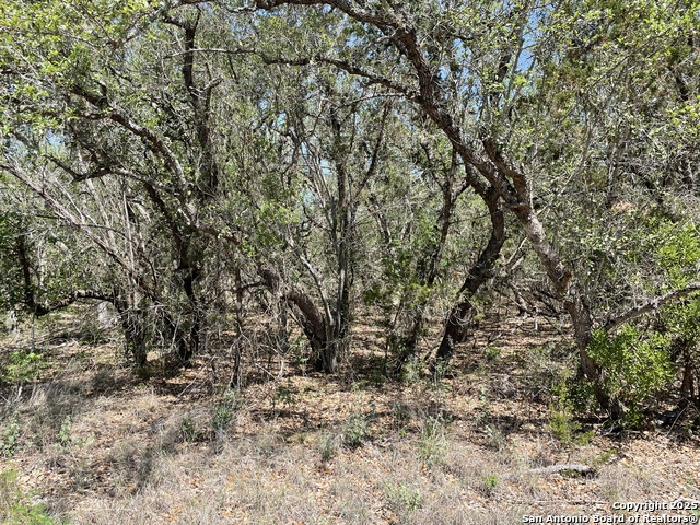 Listing photo id 6 for 1191 Cr 241