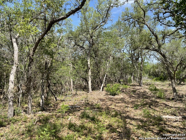 Listing photo id 7 for 1191 Cr 241