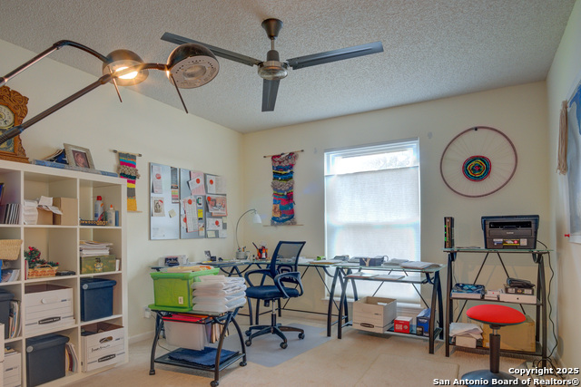Image 8 of 30 For 6019 Royal Breeze