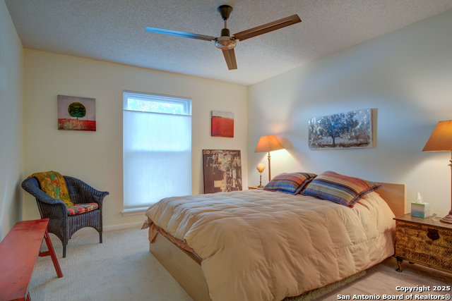 Image 9 of 30 For 6019 Royal Breeze