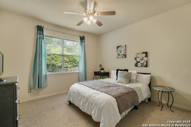 Image 22 of 27 For 9014 Shade Tree