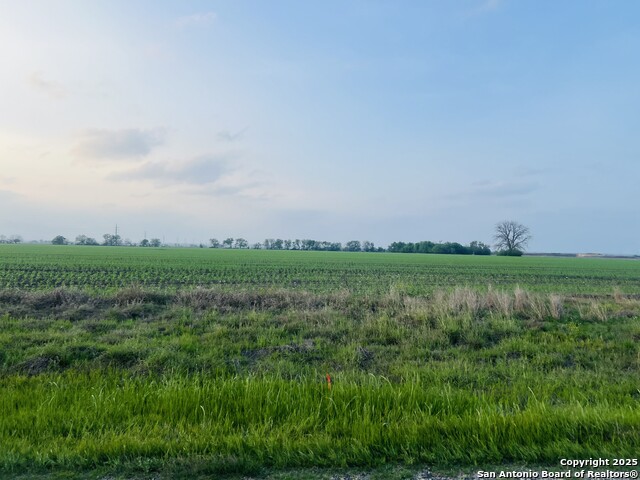 Image 2 of 6 For Tbd Lower Seguin