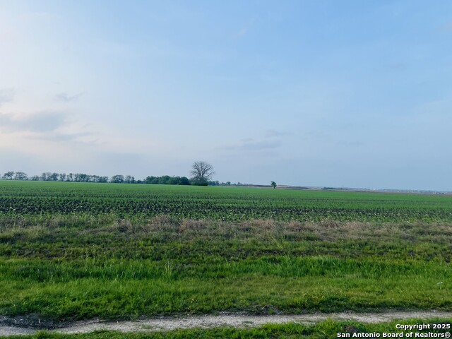 Image 5 of 6 For Tbd Lower Seguin