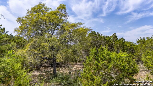 Image 14 of 23 For 264 San Salvadore