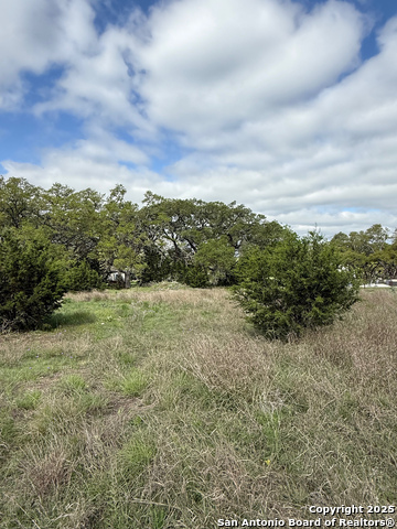 Image 3 of 15 For 32311 Koch Dr