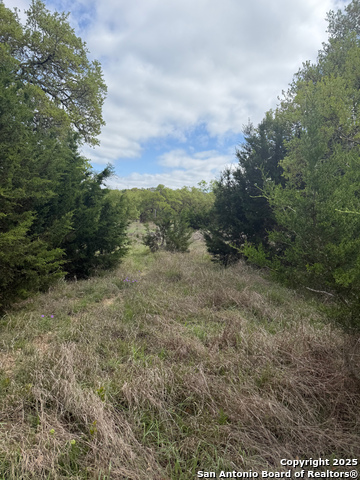 Image 4 of 15 For 32311 Koch Dr