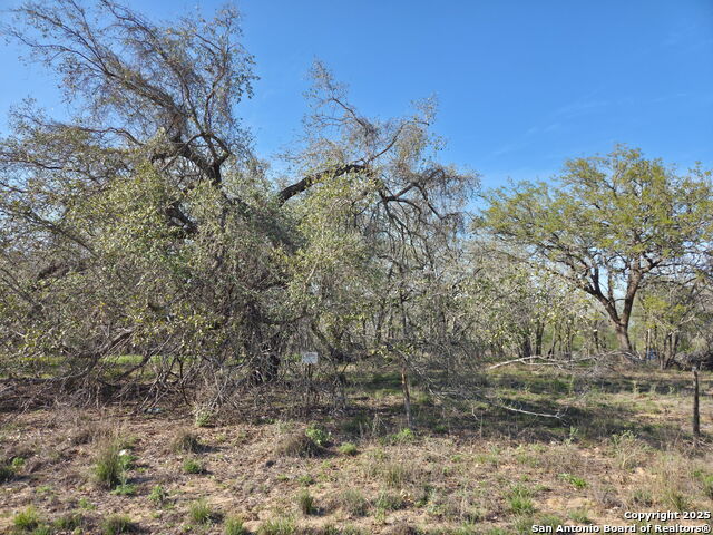 Image 4 of 20 For Tbd County Road 6815