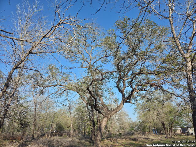Image 7 of 20 For Tbd County Road 6815