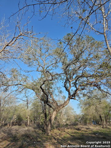 Image 8 of 20 For Tbd County Road 6815