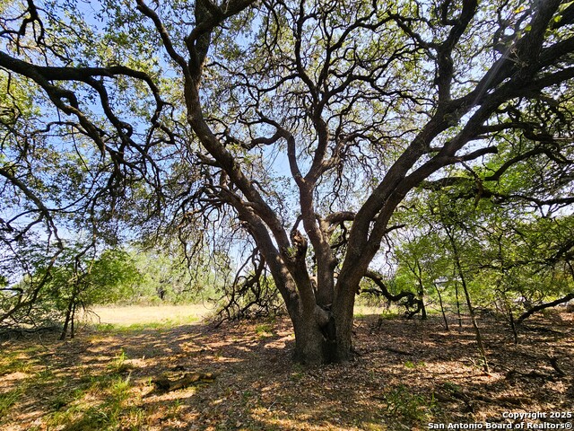 Image 37 of 75 For 804 County Road 6612