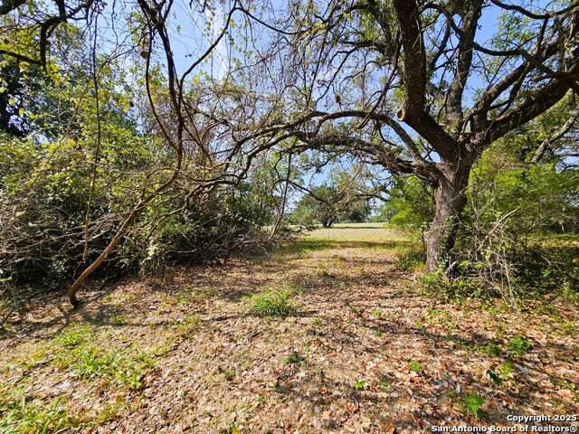 Image 38 of 75 For 804 County Road 6612