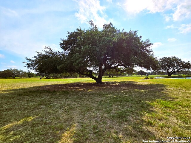 Image 4 of 75 For 804 County Road 6612