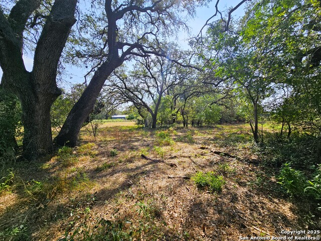 Image 40 of 75 For 804 County Road 6612