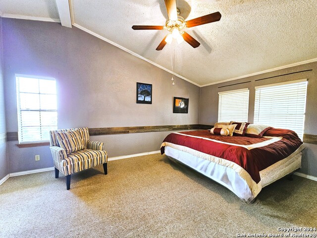 Image 66 of 75 For 804 County Road 6612