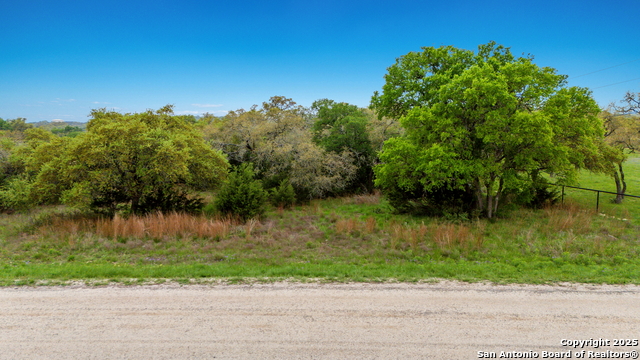 Image 7 of 11 For 246 Dodder  