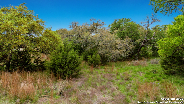 Image 8 of 11 For 246 Dodder  