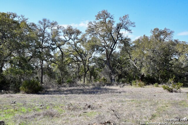 Image 7 of 7 For 8843 Fm 306  