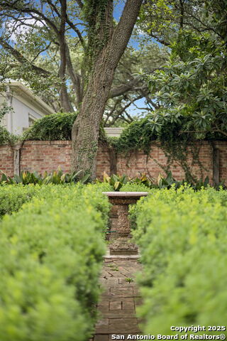 Listing photo id 68 for 424 Ivy