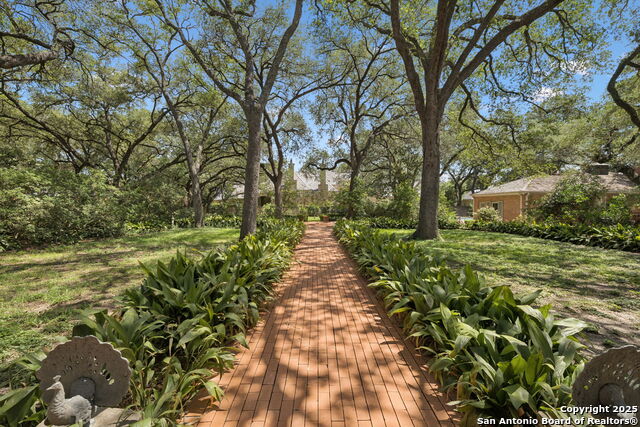 Listing photo id 74 for 424 Ivy