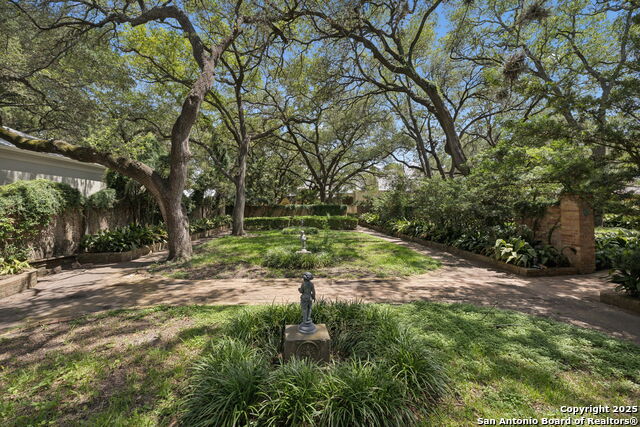 Listing photo id 76 for 424 Ivy