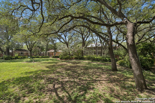 Listing photo id 79 for 424 Ivy
