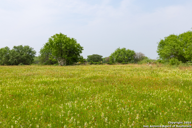 Details for 00 Shepherd Rd, Atascosa, TX 78002