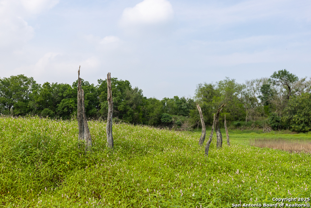Listing photo id 10 for 00 Shepherd Rd
