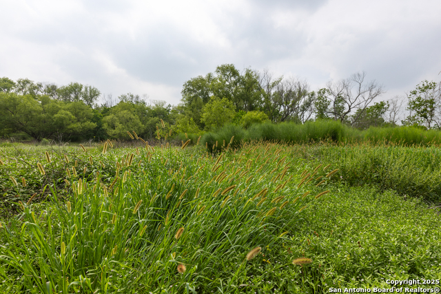 Listing photo id 13 for 00 Shepherd Rd