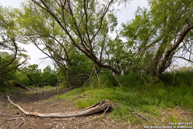 Listing photo id 14 for 00 Shepherd Rd