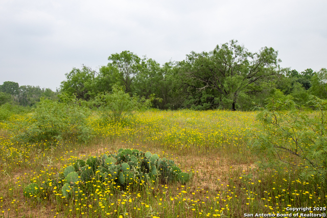 Listing photo id 17 for 00 Shepherd Rd