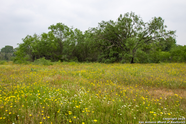 Listing photo id 18 for 00 Shepherd Rd
