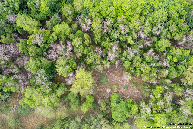 Listing photo id 25 for 00 Shepherd Rd