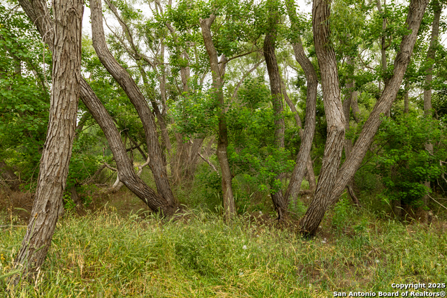 Listing photo id 1 for 00 Shepherd Rd